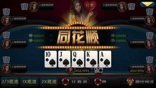 德州扑克娱乐局