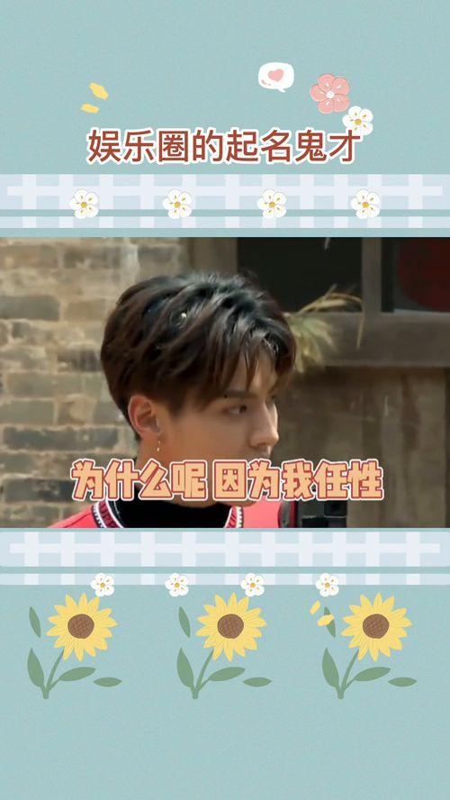 关于娱乐的名字,探寻欢乐时光的无限魅力